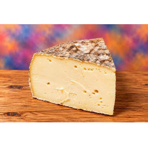 Franz�sischer Bergk�se, Tomme de Montagne d`Auvergne (A.O.C.), cremig & Intensiv